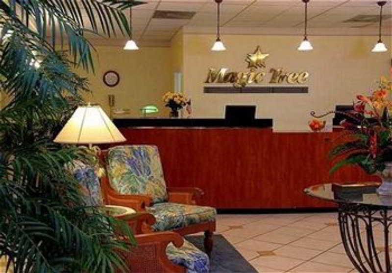 Magic Tree Resort Four Corners Interior foto