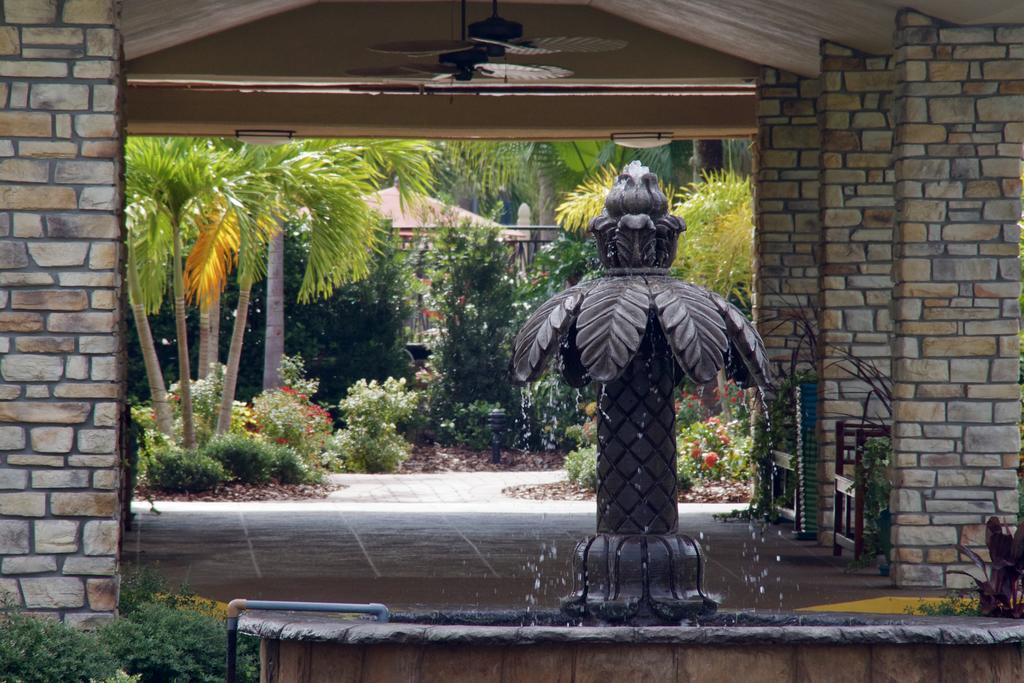 Magic Tree Resort Four Corners Exterior foto